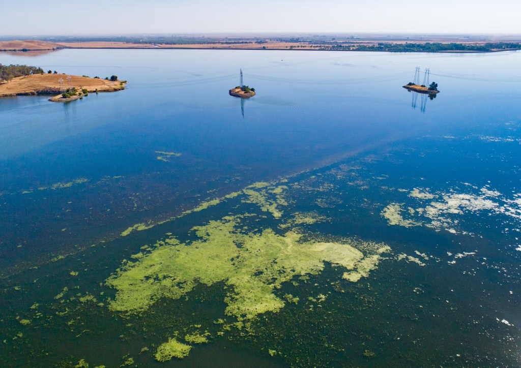 Rosa learned how to help her community get reliable, clean water. You can&nbsp;too.